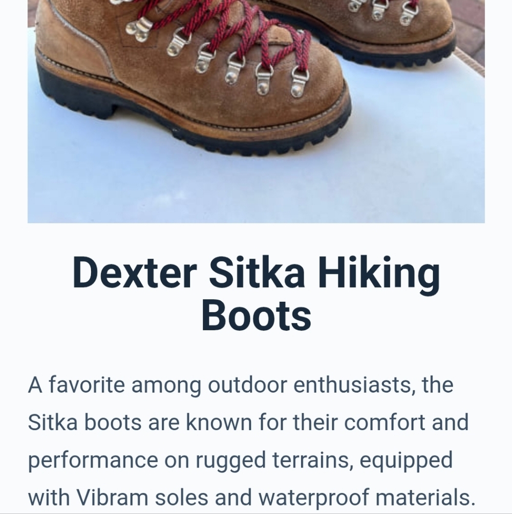 Dexter Men's Hiking Boots - Picture 12 of 12